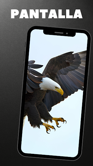Imagenes De Aguilas HD Screenshot 2