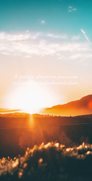 Frases em Imagens Screenshot 1
