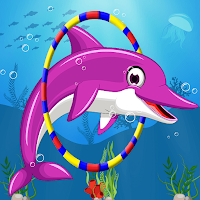 Dolphin Water Rush: Water Park Show Adventure