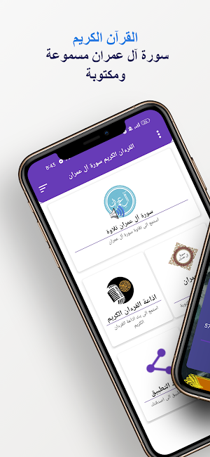 سورة آل عمران كاملة بدون نت Screenshot 0
