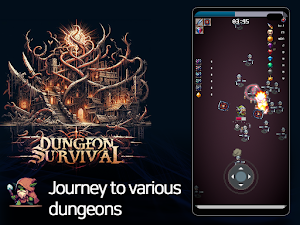 DungeonSurvival Screenshot 1