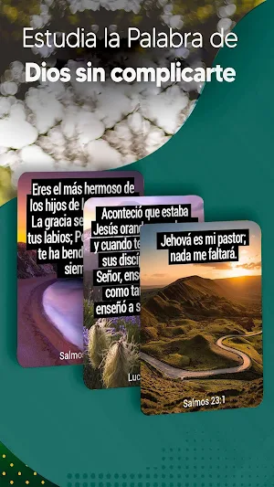 Biblia Reina Valera sencilla Screenshot 3