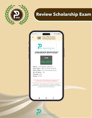 Peer - Review Scholarship Exam Screenshot 3
