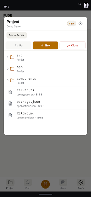 FUDE — Code Editor Screenshot 1