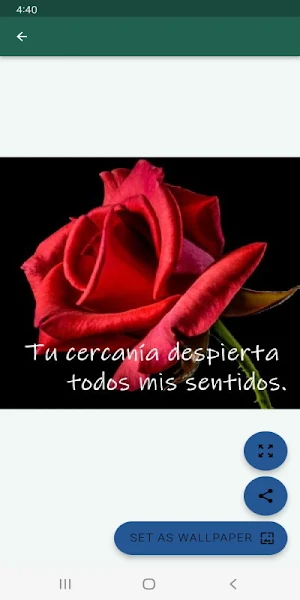 Frases de amor y amistad Screenshot 0
