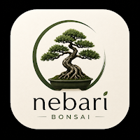 Nebari Bonsai