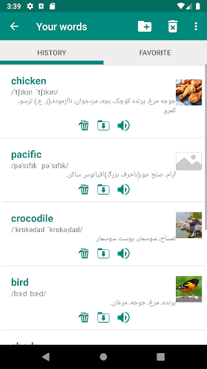 Persian English Dictionary Screenshot 3