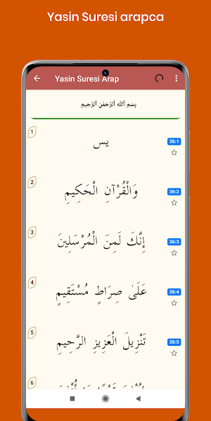 Yasin Suresi Pro (Sesli ve Takipli) Screenshot 3