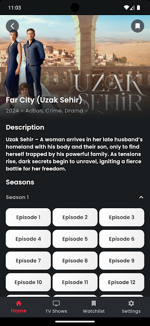 Turkish TV Series Screenshot 3