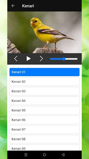 Bird Chirping Sounds Screenshot 1