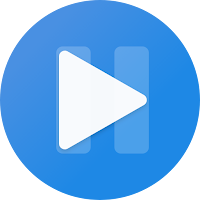 Video Player With Subtitles