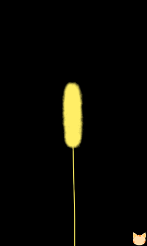 Foxtail(Free Cat Toy) Screenshot 1