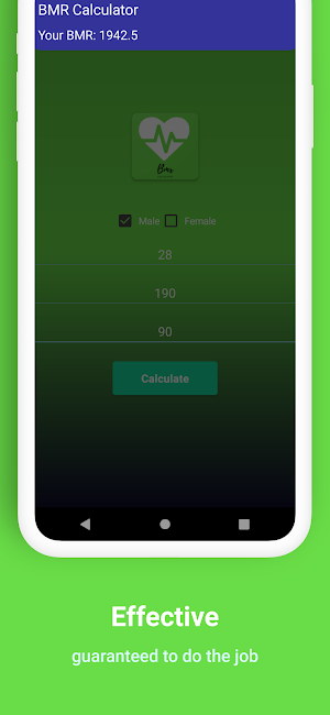 BMR Calculator Screenshot 3