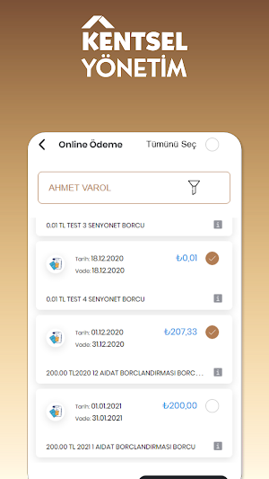 Kentsel Yönetim Screenshot 3