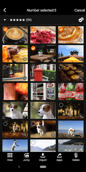 Canon Camera Connect Screenshot 2