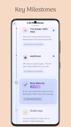 Life in Numbers Screenshot 2