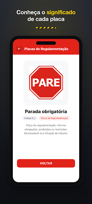 Jogo das Placas de Trânsito Screenshot 2