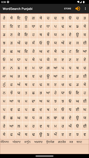 WordSearch - Punjabi Screenshot 3