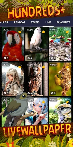 bird wallpaper Screenshot 2