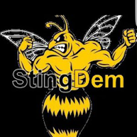 Stingdem Radio