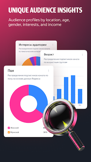 Yandex ProBlogger Screenshot 3