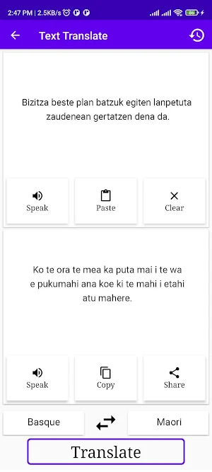 Basque To Maori Translator Screenshot 1