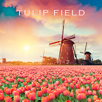 Tulip Field Theme +HOME