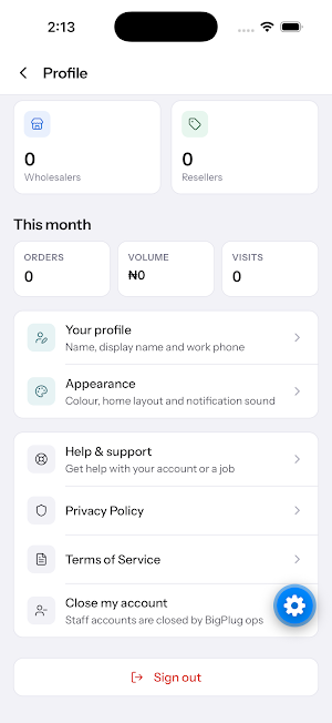 bigplug manager Screenshot 0