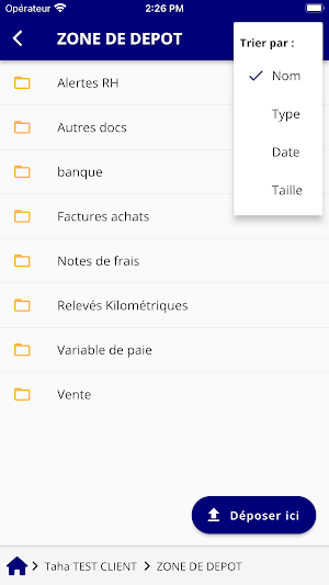 RECCI Screenshot 2