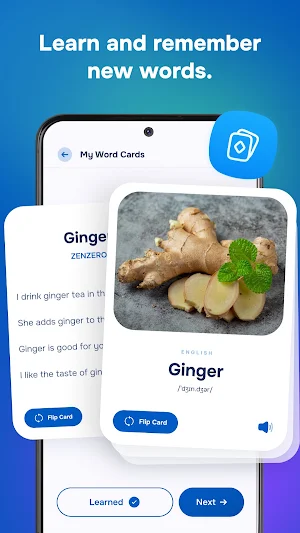 Learn Language Screenshot 3