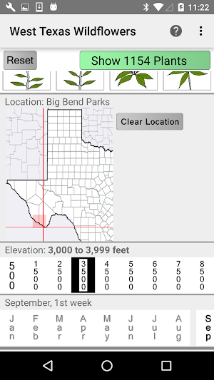 West Texas Wildflowers Screenshot 1