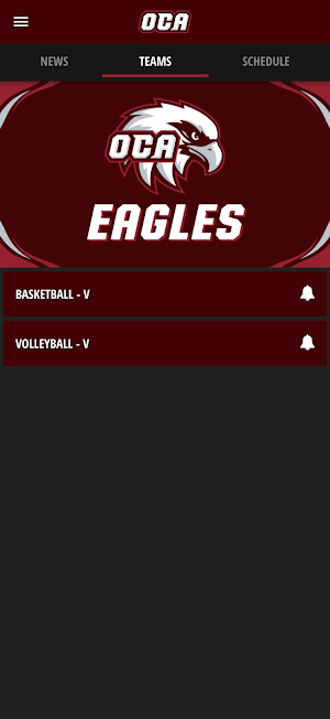 OCA Eagles Screenshot 3