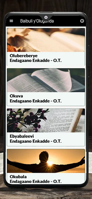 Baibuli y'Oluganda Luganda Screenshot 0