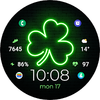 TVV Saint Patrick's Day 3