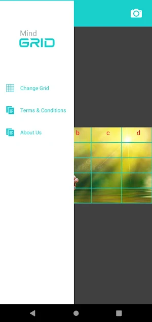 MindGrid Screenshot 2