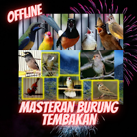Masteran Burung Tembakan