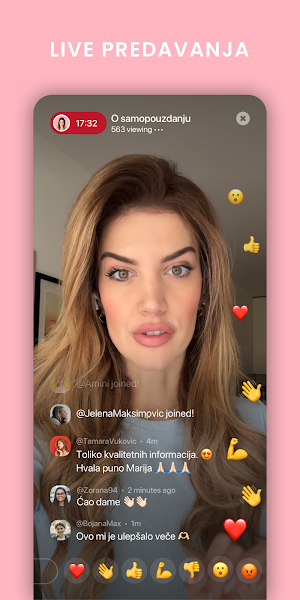 Harmonizacija Screenshot 2