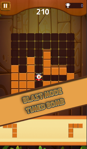 Wood Block Magic Puzzle Mania Screenshot 2