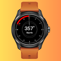 Ticwatch Pro 5 Guide