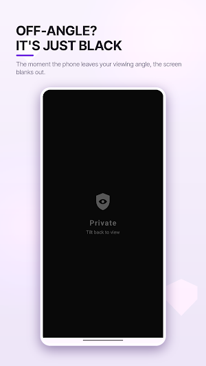 Privacy Display Screenshot 1
