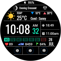 Digital Dashboard 8