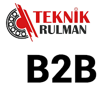 Teknik Rulman B2B
