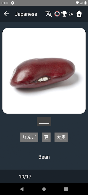 Japanese Language Tests Screenshot 3