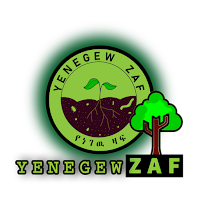 Yenegew Zaf