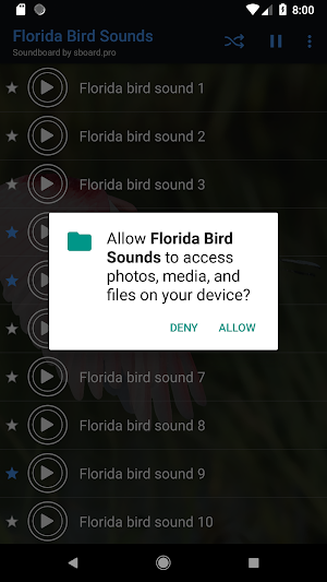 Florida bird sounds ~ Sboard.pro Screenshot 1
