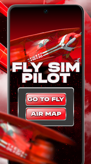 Fly Sim Pilot Screenshot 3