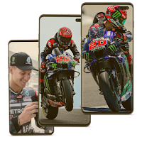 Fabio Quartararo Wallpaper HD