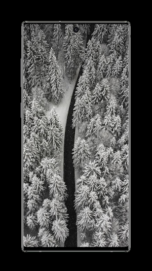 Winter Wallpaper Screenshot 2