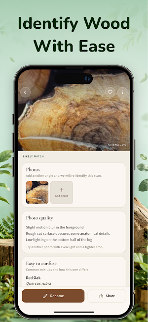 Wood Identifier App - WoodyAI Screenshot 3