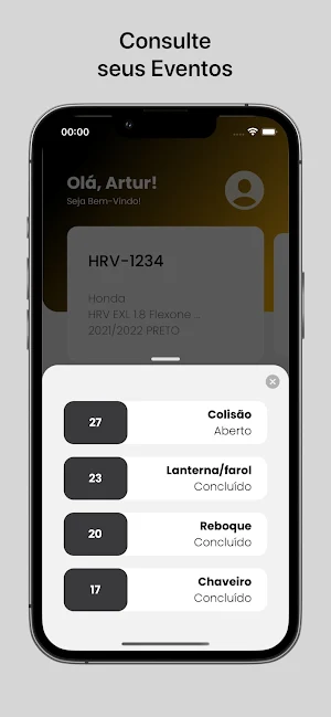 Auto Líder Associados Screenshot 2